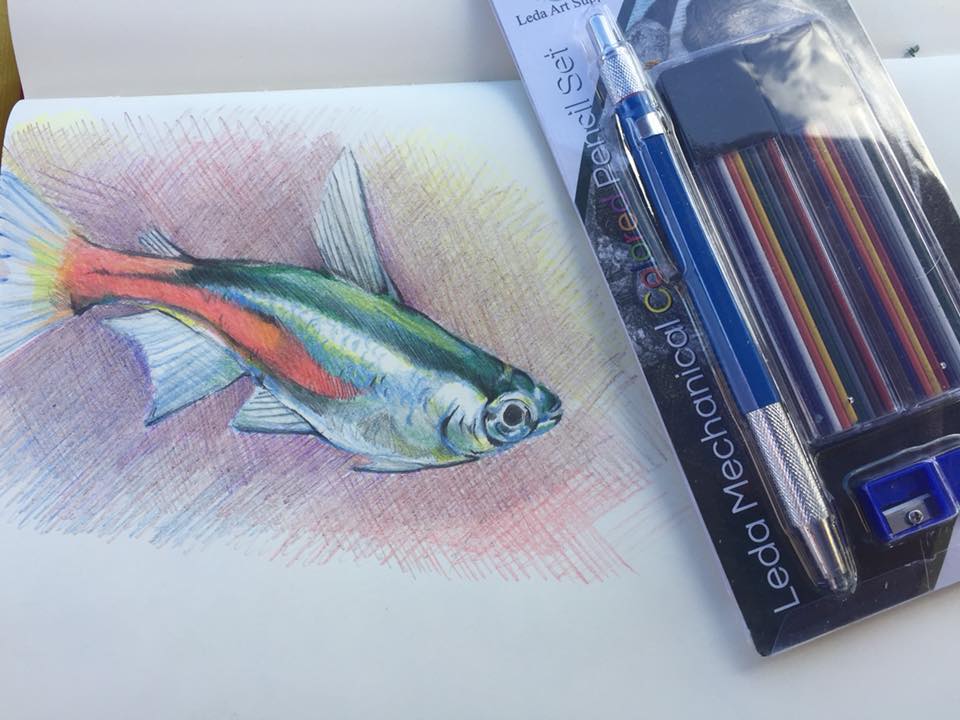 Mechanical Color Pencil Set